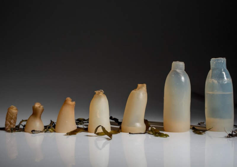 All bottled up: alternatives to the humble plastic drinks container 