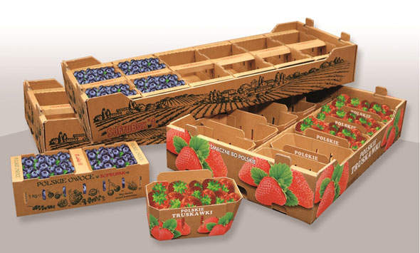 Smurfit Kappa sustainable packaging boosts fruit sales
