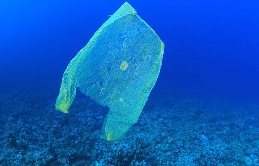 plastic bags ocean