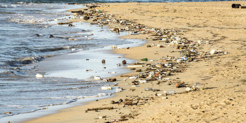plastic waste at seashore