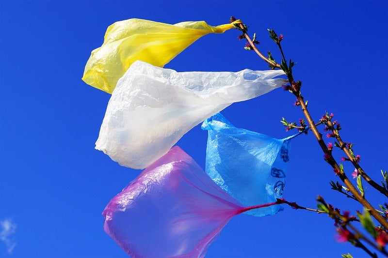 Biodegradable plastic bags still usable after three years in the sea