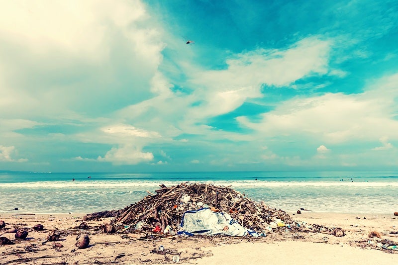 Bali wins plastic ban lawsuit in fight against ocean plastic
