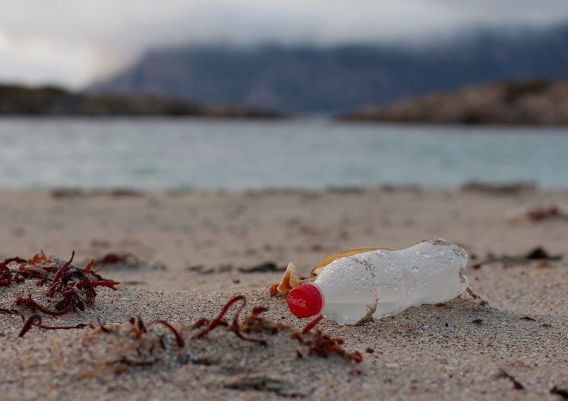 Earth Island sues major companies over plastic pollution