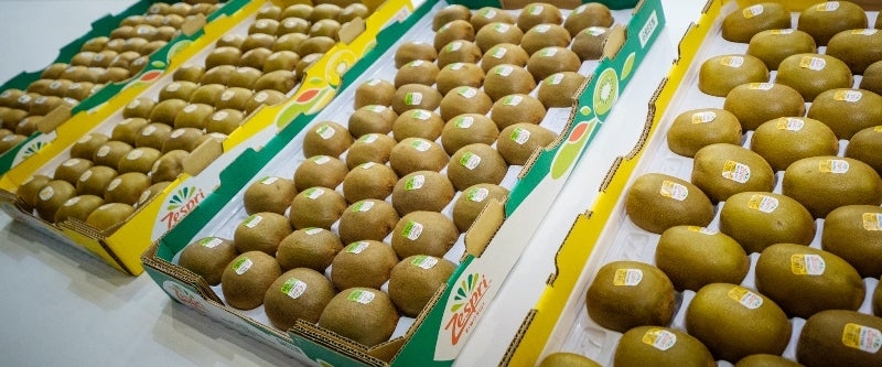 Kiwifruit marketer Zespri commits to sustainable packaging