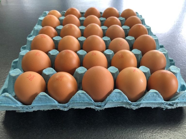 Waitrose to introduce packaging model across British Blacktail eggs