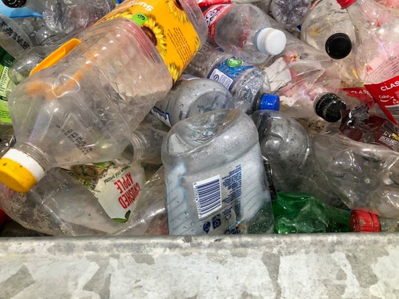 Auckland Council supports phase-out of single-use plastics
