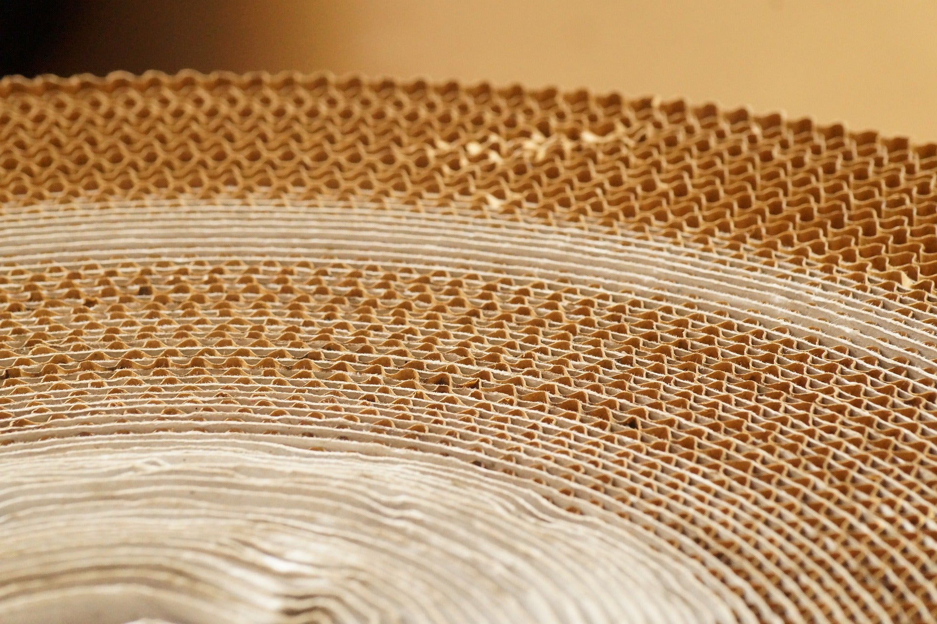 SCGP plans $352m packaging paper business expansion in Vietnam SCGP plans $352m packaging paper business expansion in Vietnam