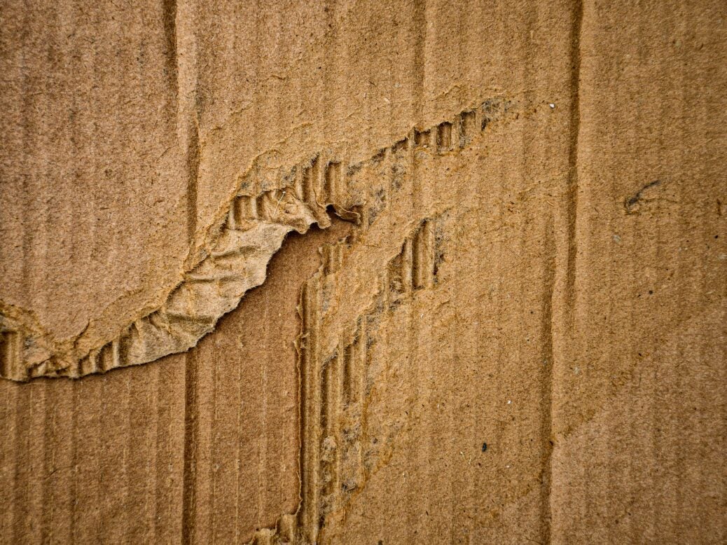 JK Paper begins commercial production at packaging board plant