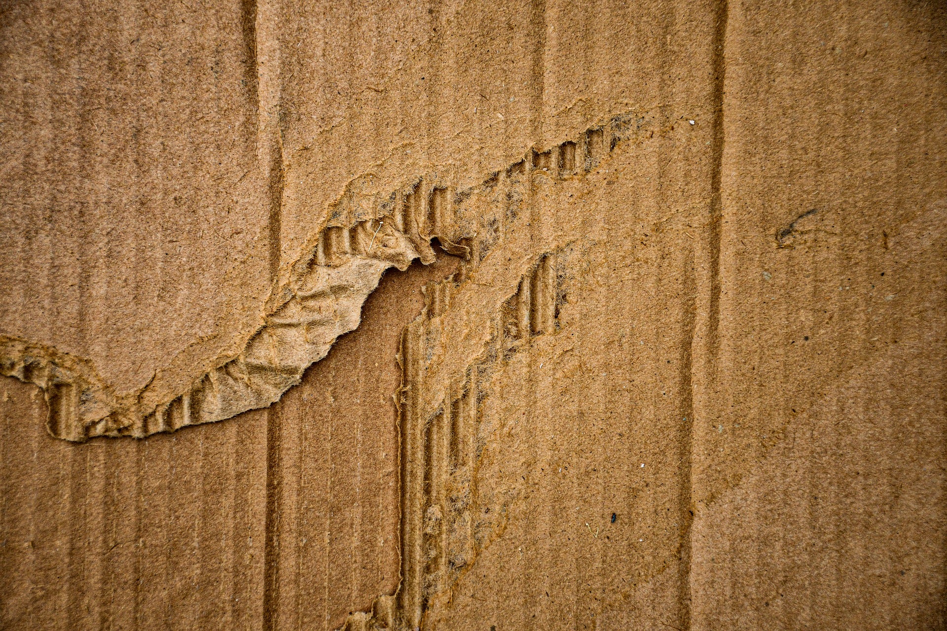 JK Paper begins commercial production at packaging board plant