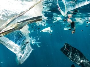 Businesses call for legally binding treaty on plastic pollution