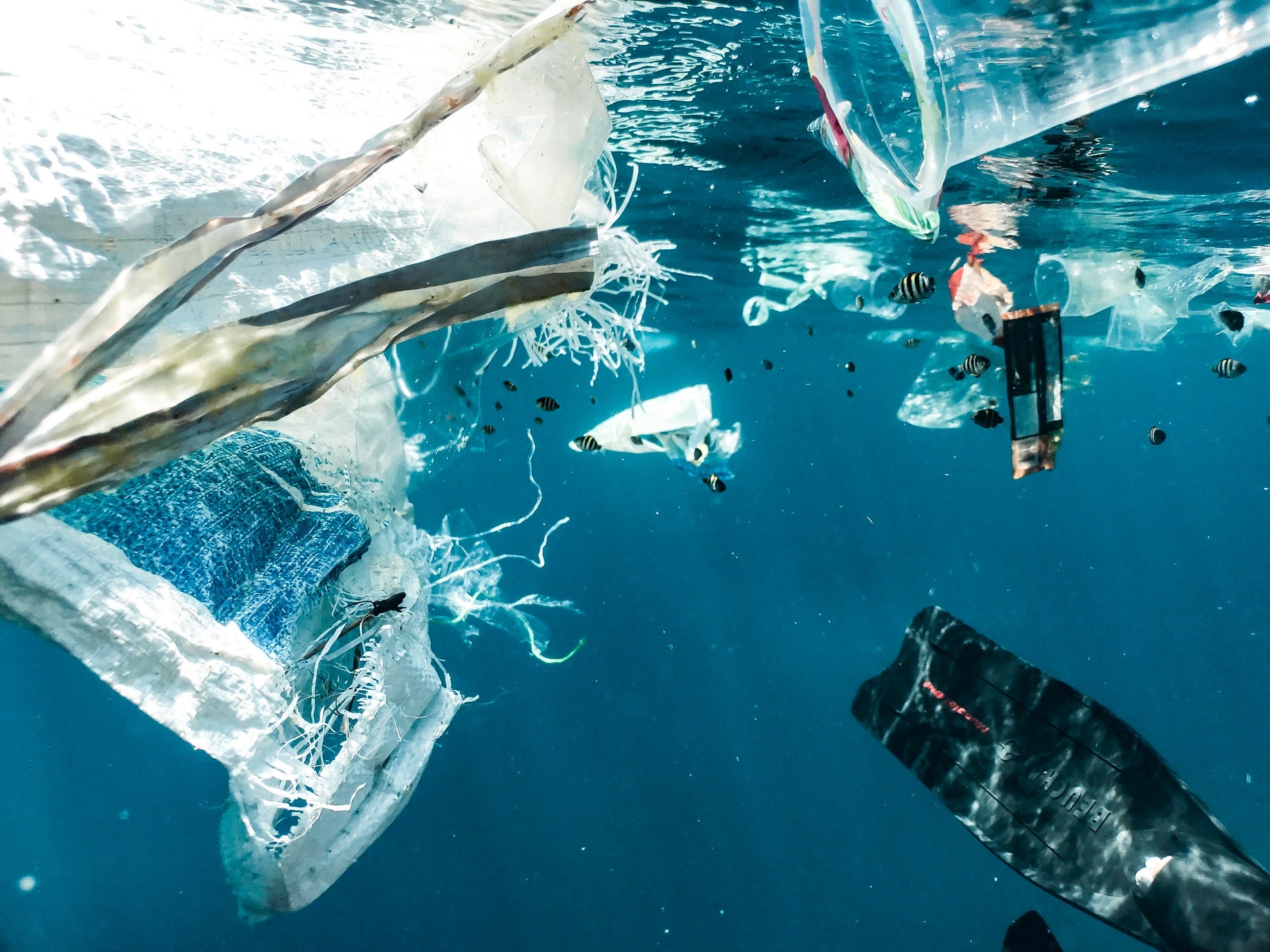 Businesses call for legally binding treaty on plastic pollution Businesses call for legally binding treaty on plastic pollution