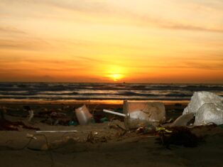 Alliance to End Plastic Waste and LOIM launch circular plastic fund