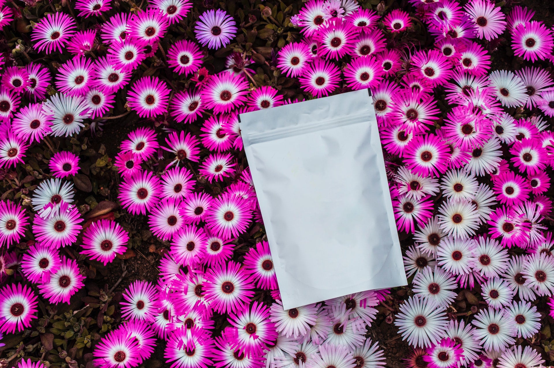 Brook + Whittle acquires flexible packaging producer Diamond Brook + Whittle acquires flexible packaging producer Diamond