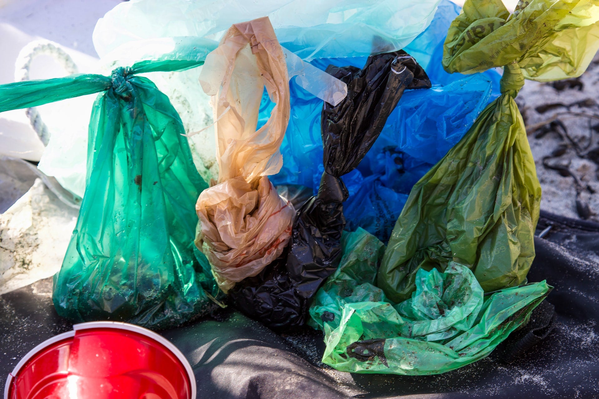 Vietnam aims to ban the use of all plastic bags by 2030 Vietnam aims to ban the use of all plastic bags by 2030