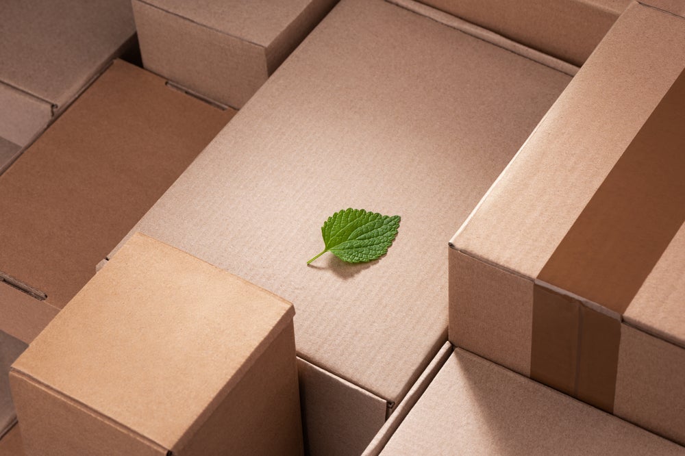 The top 10 must-have sustainable packaging solutions