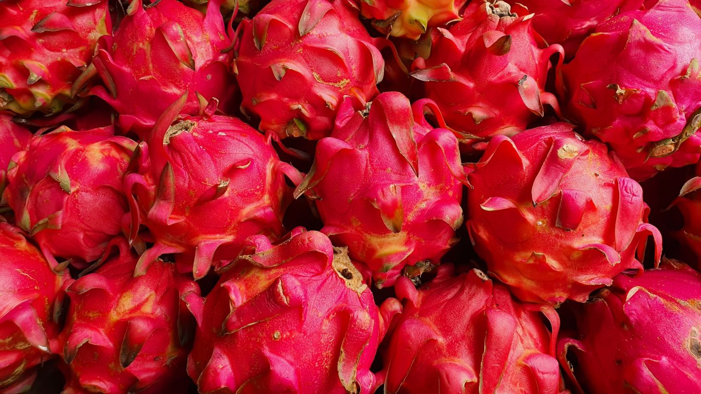 StePacPCC develops packaging to extend pitaya shelf life