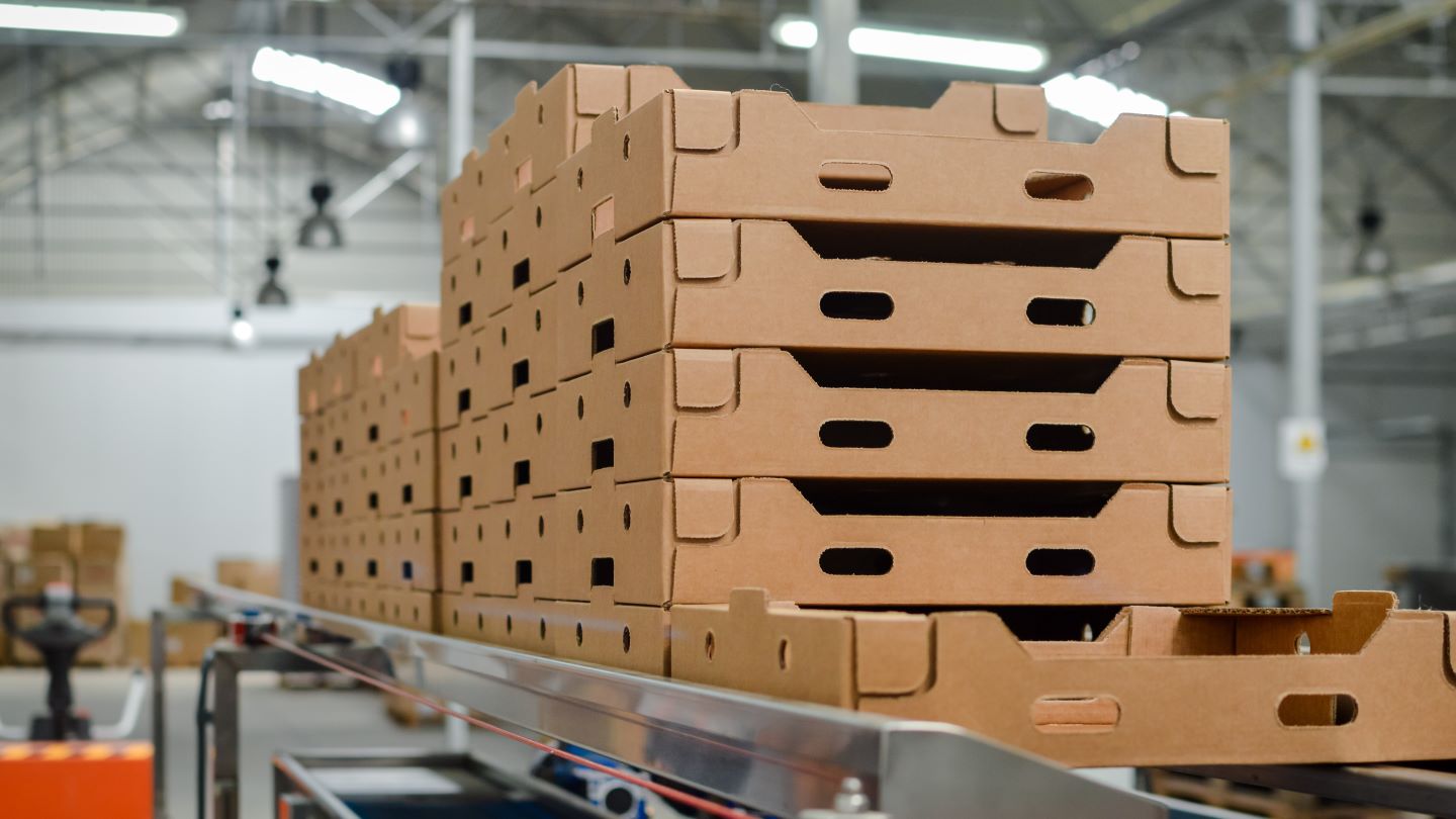 Grenadier Packaging acquires Dutch firm MM Packaging Leeuwarden  