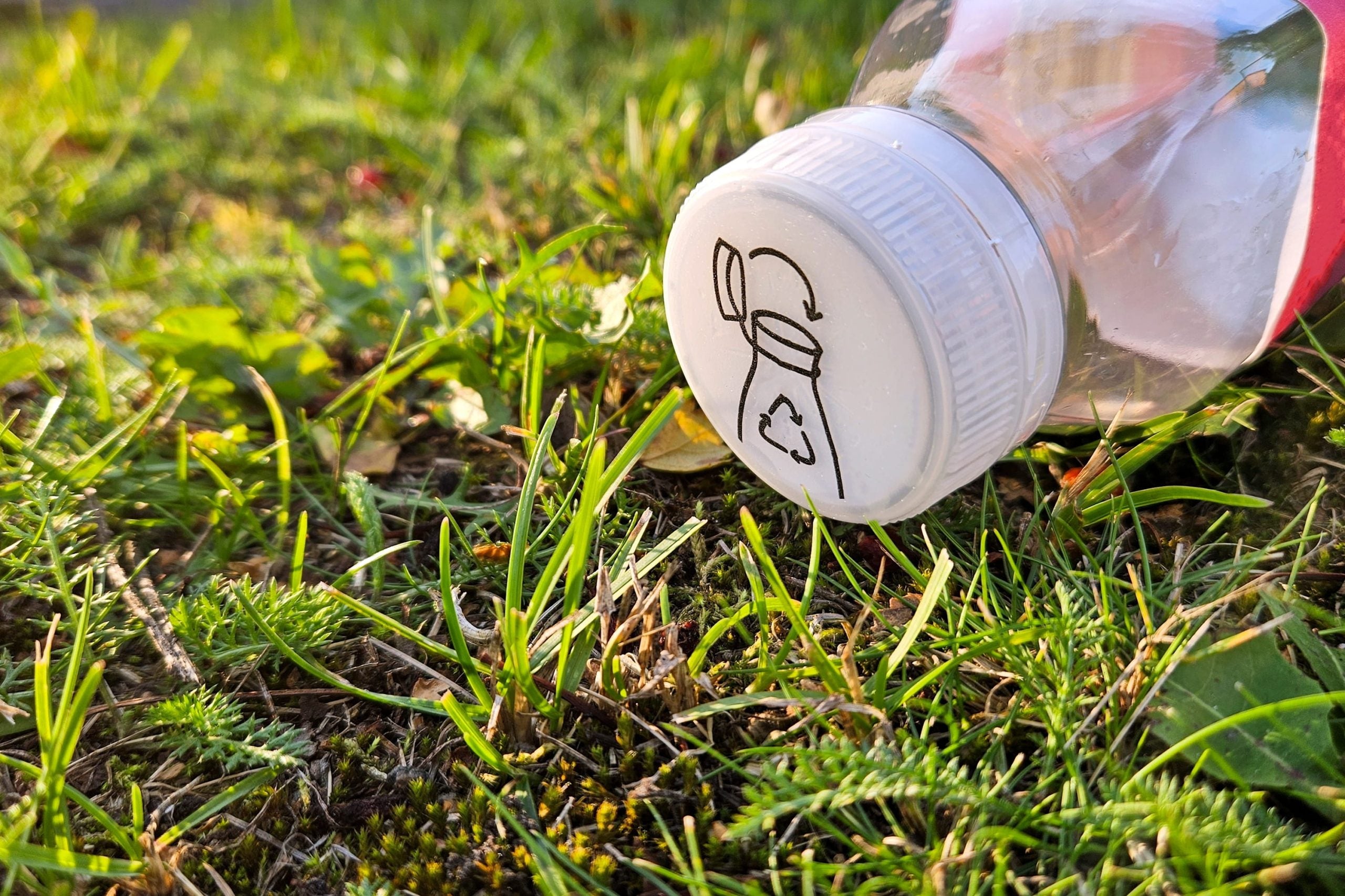 Commission clarifies EU packaging waste regulation for industry