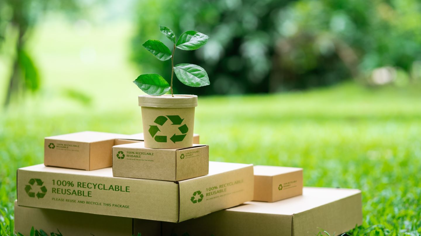 Sustainability drives European consumers’ packaging choices – study