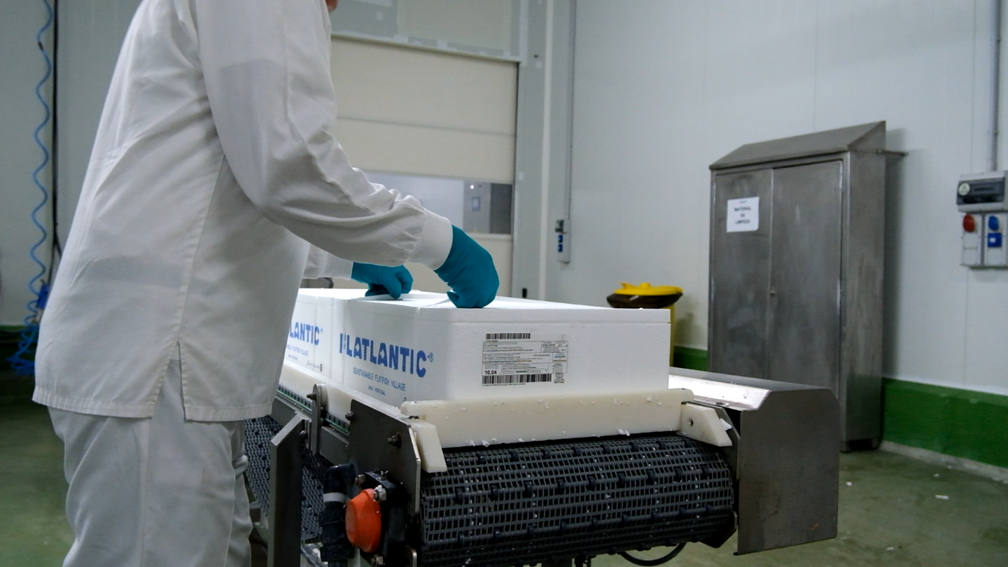 Flatlantic adopts BEWI recycled EPS fish boxes