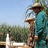 Coca-Cola and the WWF conservation organisation Coca-Cola and the WWF conservation organisation